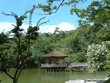 kyoto004 kyoto004