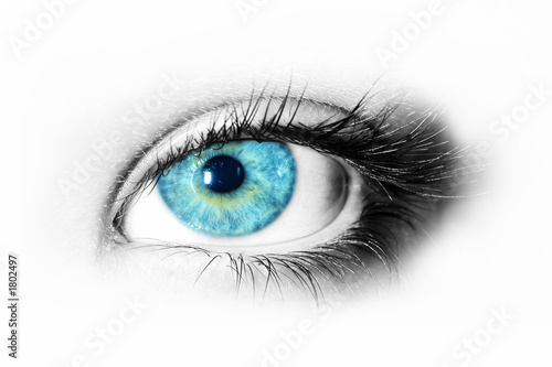 yeux bleu
