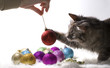 kitten playing with christmas ornaments