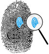fingerprint16_detalles