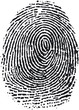 fingerprint16