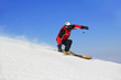 skifahrer