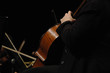 le violoncelliste