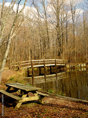 Photo: bridge bridge