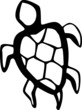 water turtle