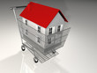 house on basket