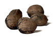 five walnuts five walnuts