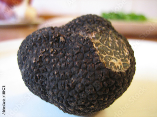 black truffle