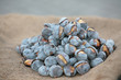 chestnuts