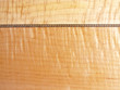 tiger maple and herringbone background