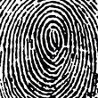 fingerprint16crop