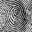 fingerprint14crop6