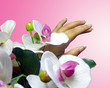 a touch of femininity a touch of femininity