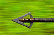 flying arrow flying arrow