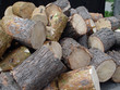 pile of pine tree logs