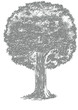 arbre
