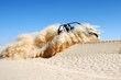 buggy