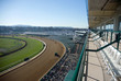 horse track