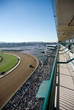 horse track