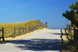 the walkway the walkway