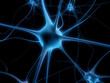 neuronen