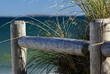 the fence the fence