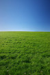 green meadow