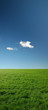 green meadow