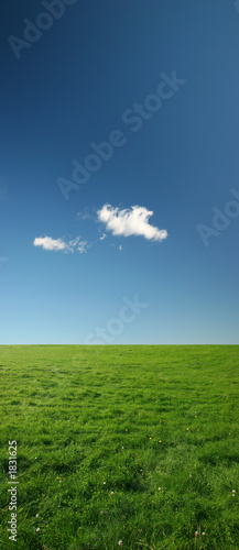 green meadow
