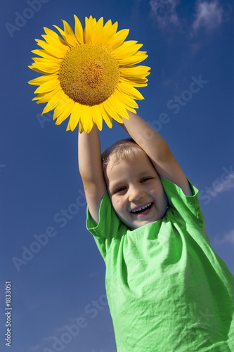 boy with sunflower