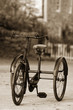 Trójkołowiec – retro rower 
