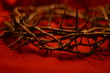 crown of thorns