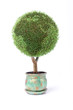 grow your own little green planet