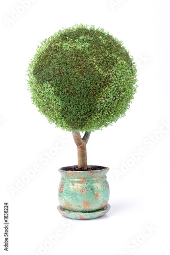 Photo: grow your own little green planet grow your own little green planet