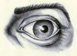 eye drawing