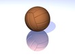 ballon de sport