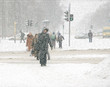 Photo: snowfall, snowfall,