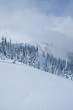 winter on hurricane ridge