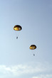 skydivers