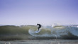 surfer in the wave