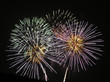 fireworks 23