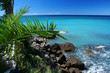 caribbean