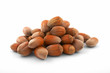 Foto: hazelnut hazelnut