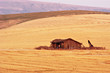 palouse country 2