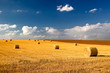 feld iii feld iii
