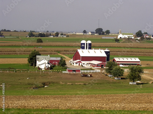 Photo: dairy farm dairy farm
