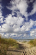 trail to the beach trail to the beach