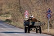 cart
