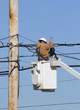 cable tv lineman4 cable tv lineman4