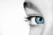 oeil bleu oeil bleu